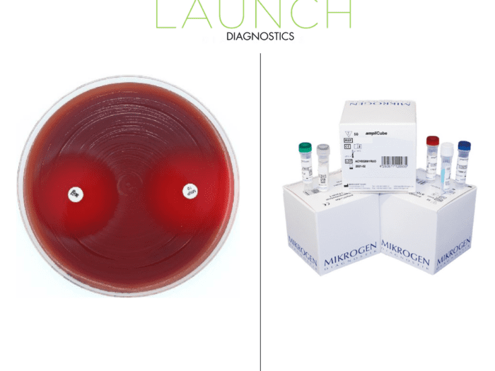 Image of Antimicrobial Susceptibility Testing Solutions